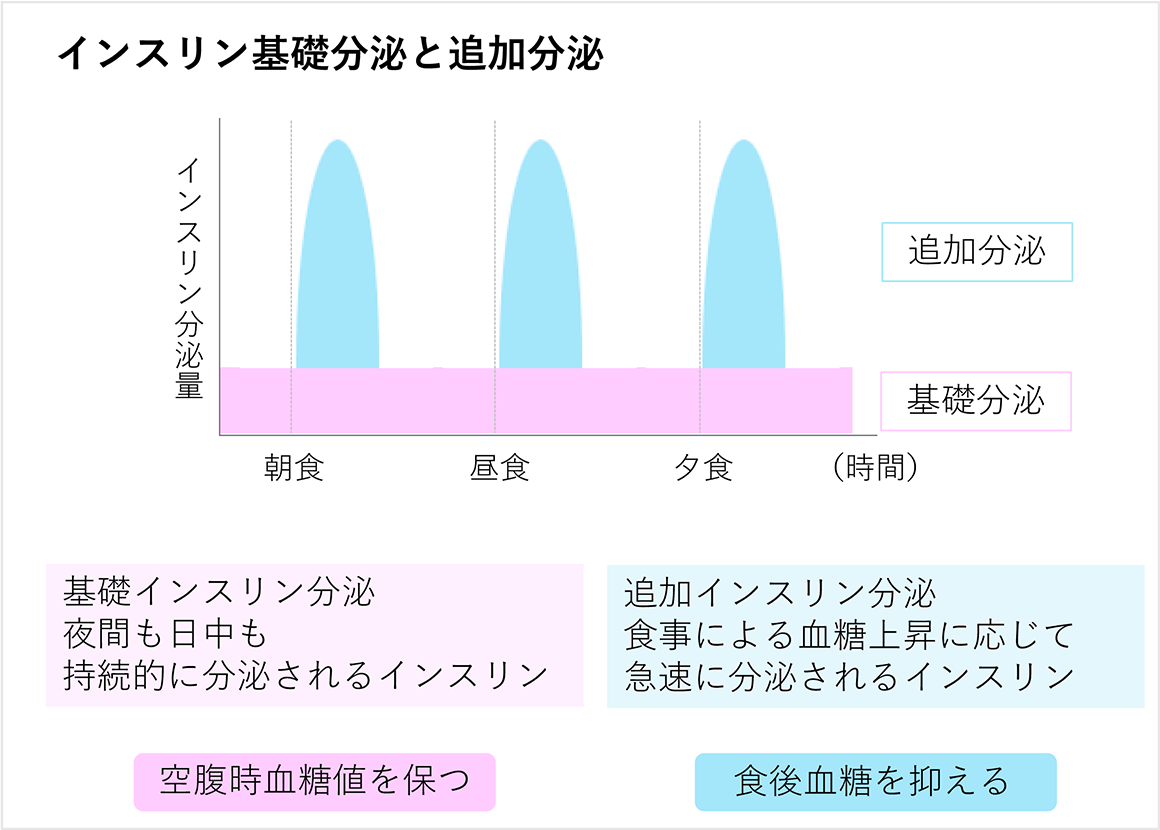 インスリン分泌の概略